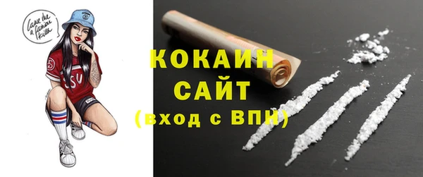 амф Новозыбков