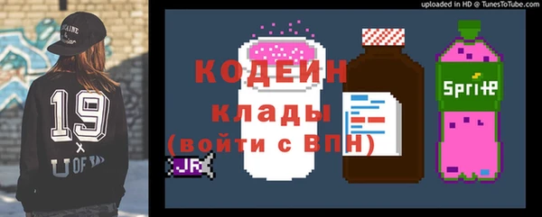амф Новозыбков
