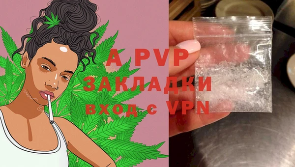 амф Новозыбков