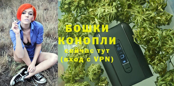 амф Новозыбков
