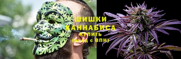 амф Новозыбков