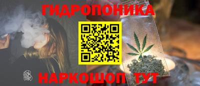 прущие грибы Жуковский