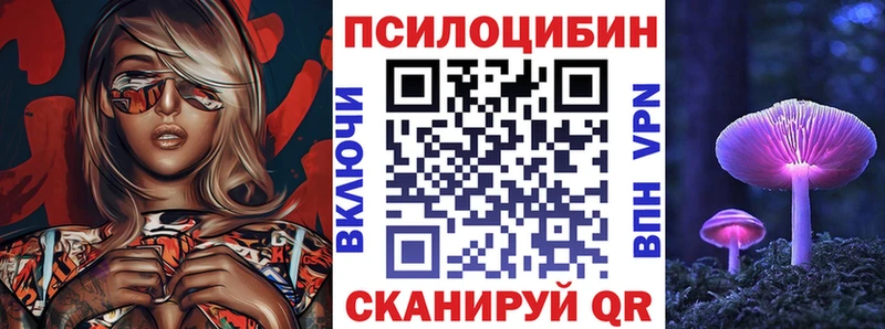 закладки  Искитим  Псилоцибиновые грибы Psilocybe 